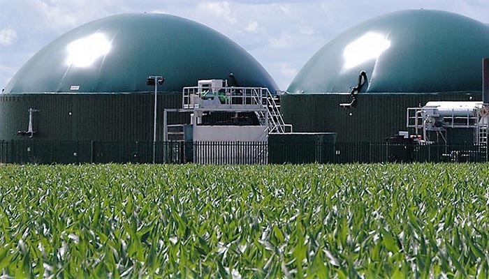 Efekti primjene tekućeg digestata iz bioplinskog postrojenja u proizvodnji silažnog kukuruza - sažetak